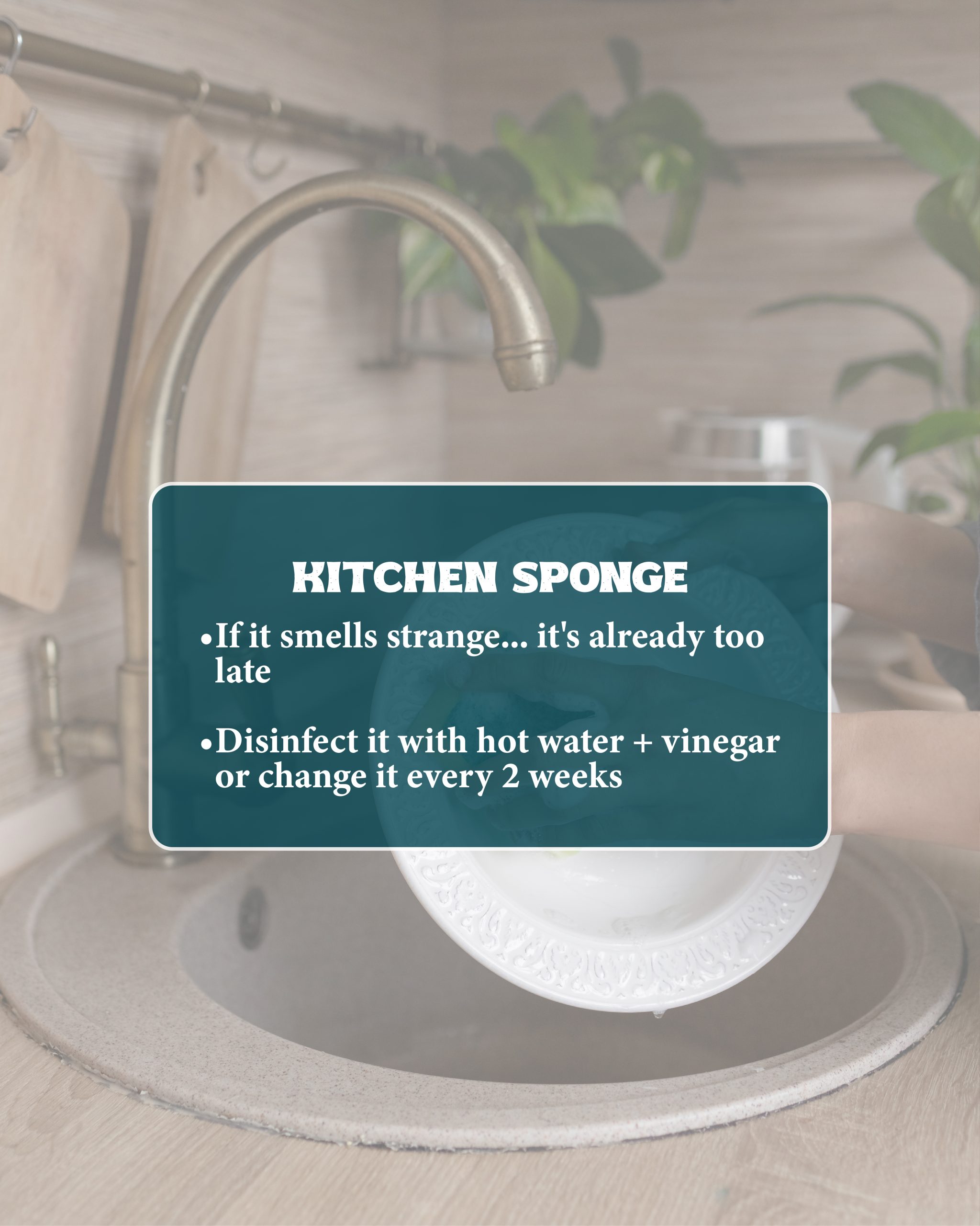 piezas 5dic2025_Mesa de trabajo 1 copia 15