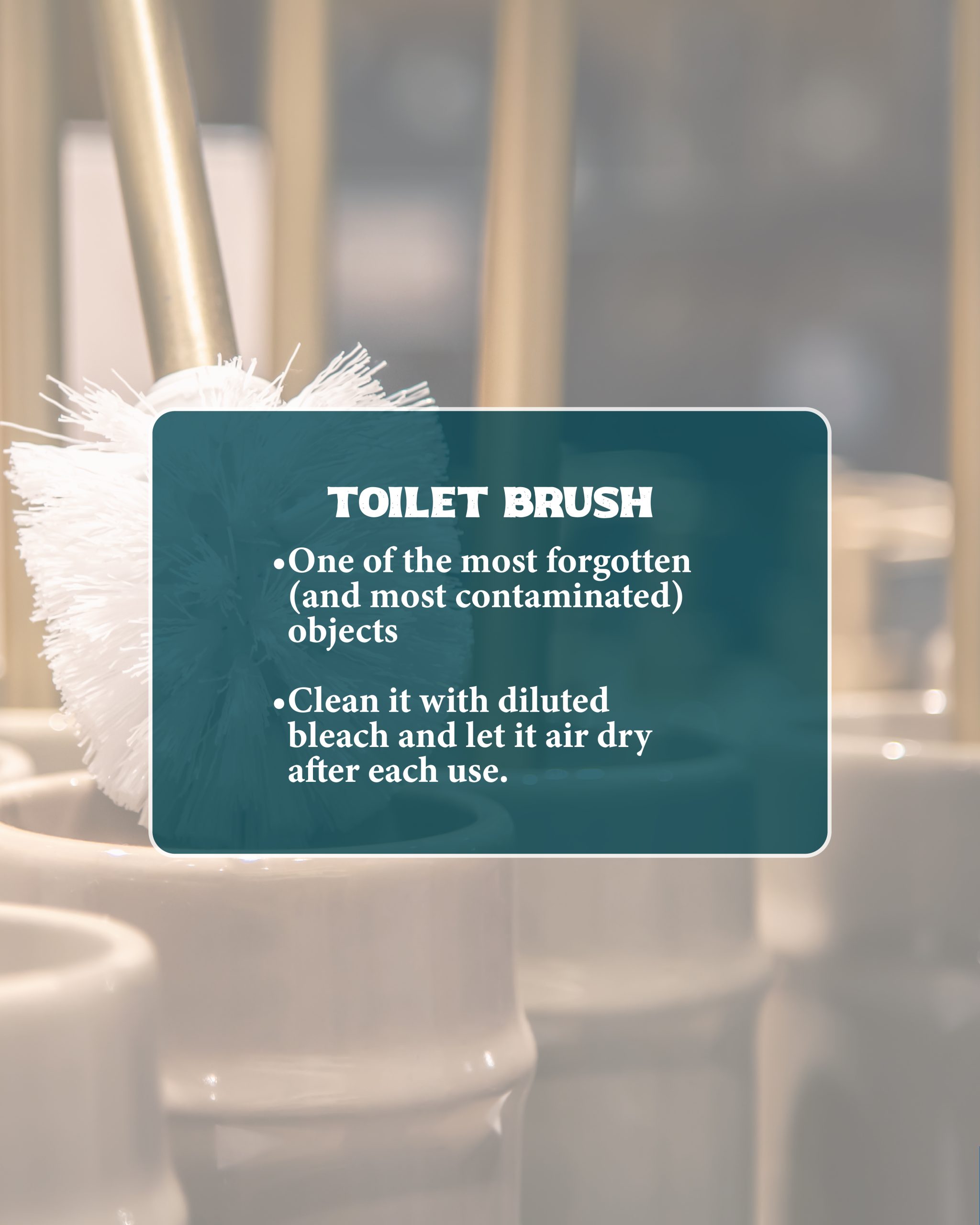 piezas 5dic2025_Mesa de trabajo 1 copia 16